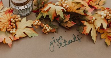 OPINION: Why Thanksgiving is the Best Holiday: A brief history and opinion on Thanksgiving