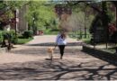 Meet the group of handlers that are training The newest class of pups to become service dogs